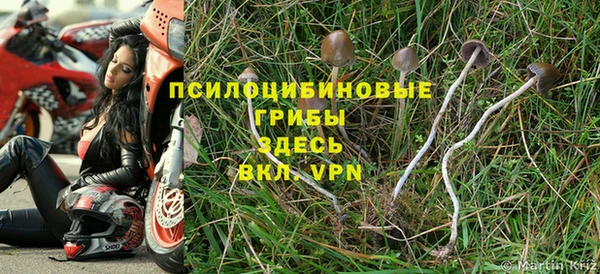 спайс Кодинск