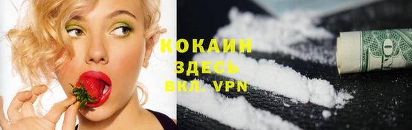 spice Тында