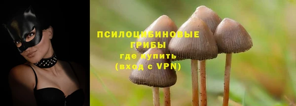 спайс Кодинск