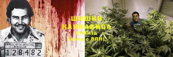 ECSTASY Козловка
