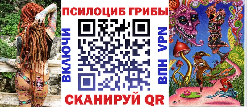 где купить Коломна Галлюциногенные грибы Psilocybe